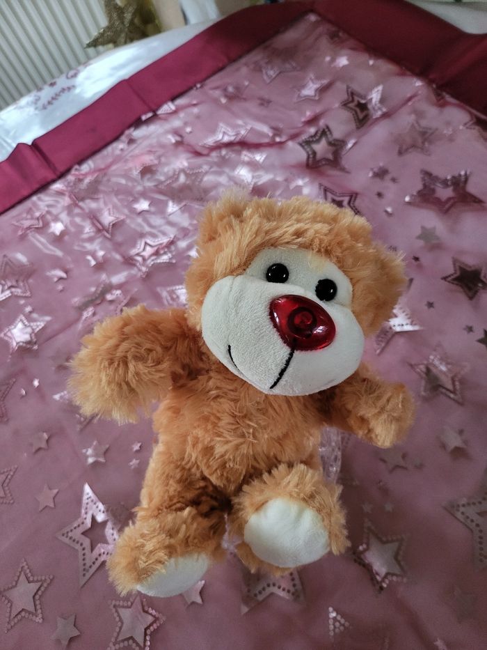 Peluche ours 🧸 🐻