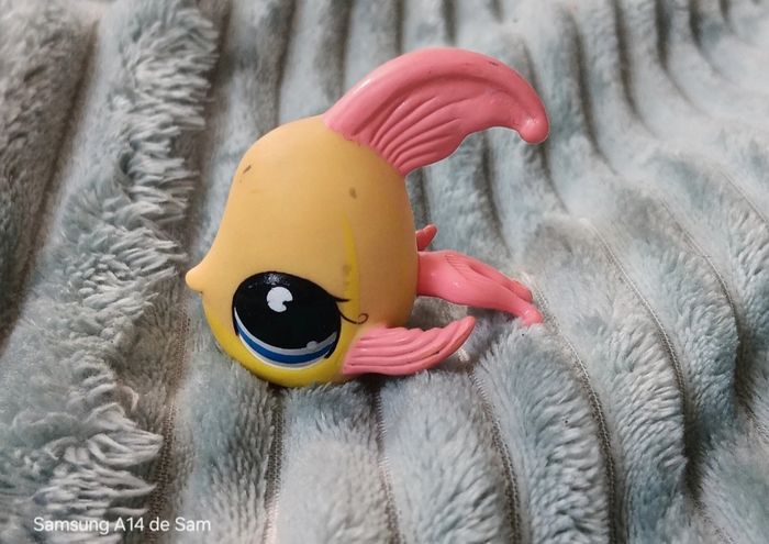 Petshop poisson 1150 - photo numéro 4
