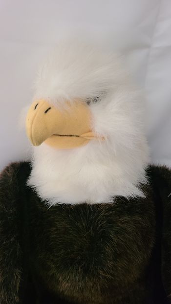 peluche aigle gipsy