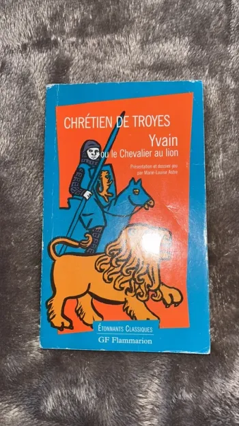 Livre chrétien de troyes yvain