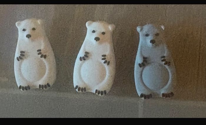 Perles ours polaires
