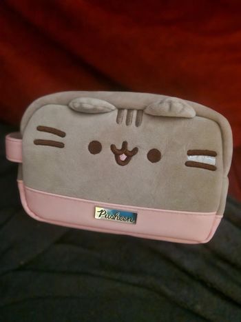 Trousse pusheen