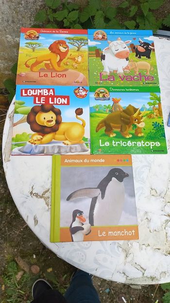 Documentaire jeunesse