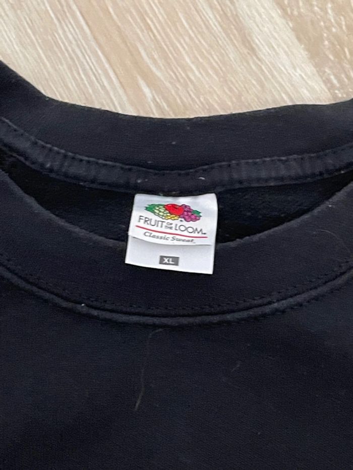 Sweat Fruit of The Loom - photo numéro 2