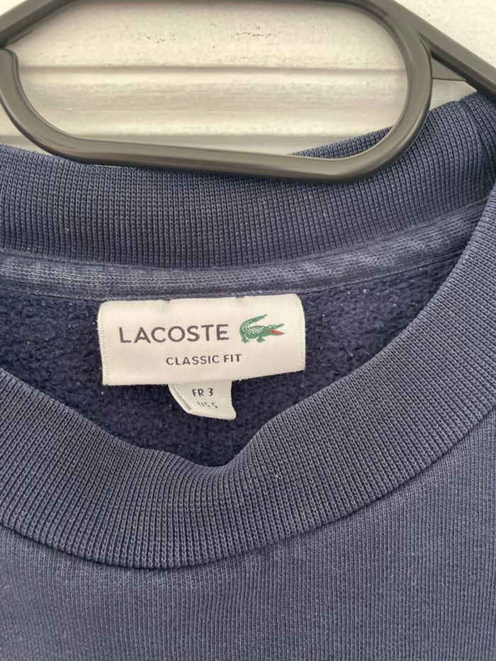 Sweat Lacoste - photo numéro 4