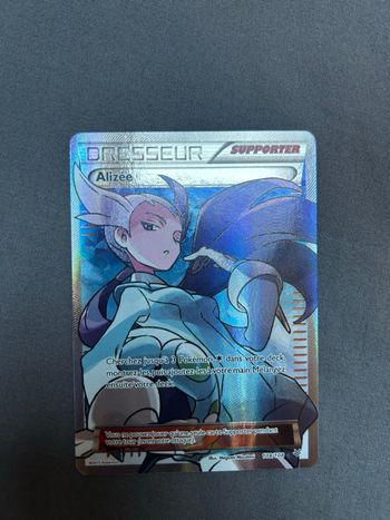 Carte Pokémon dresseur Alizé 108/108