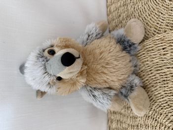 Doudou chien loup Husky Roda Rodadou