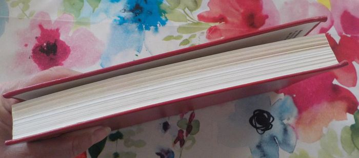 Grace (Kelly / de Monaco) par Bertrand Meyer - photo numéro 2