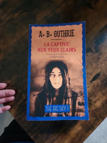 Livre : La captive aux yeux clairs