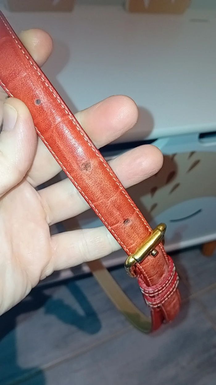 Ceinture femme à donner - photo numéro 3