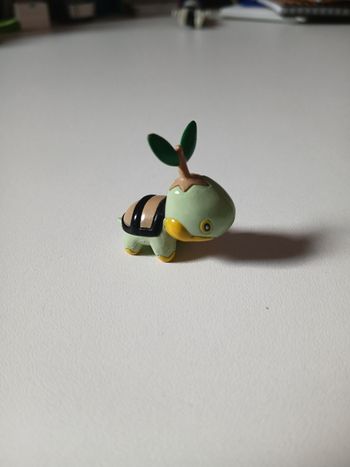 Tortipousse Pokémon