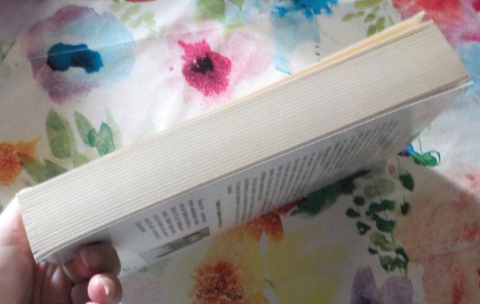 LE SCORPION DU NIL de Pauline GEDGE Ed. Stock - photo numéro 5