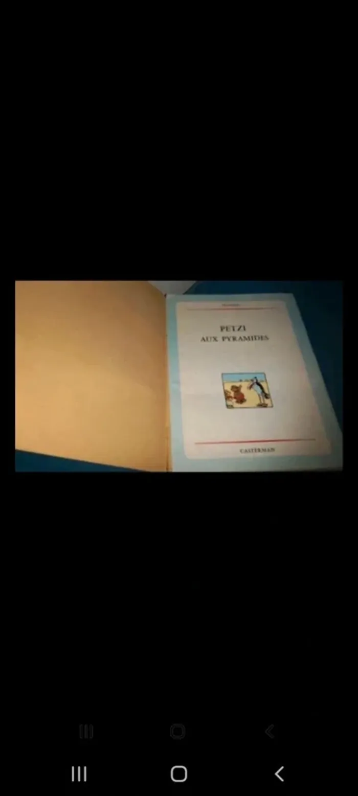 Bd petzi  aux pyramide n'5 . - photo numéro 3
