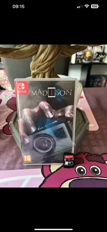 Jeu Nintendo Switch madison