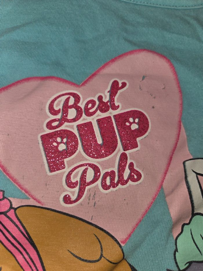 Tee-shirt pat patrouille 6 ans - photo numéro 2