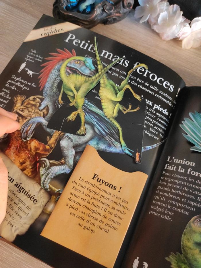 Incroyables dinosaures – L'incroyable encyclopédie – Larousse - photo numéro 19