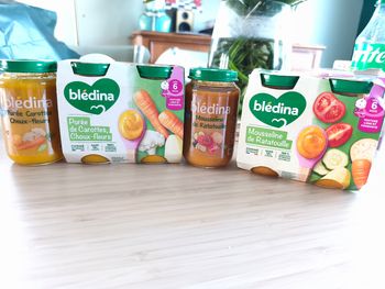 Lot de 6 petits pots - 6 mois - bledina  