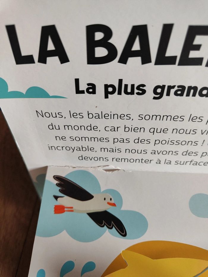 Animaux de la mer - photo numéro 6