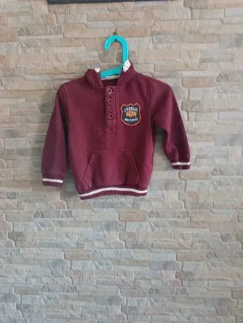 Sweat à capuche bordeaux Creeks 24M