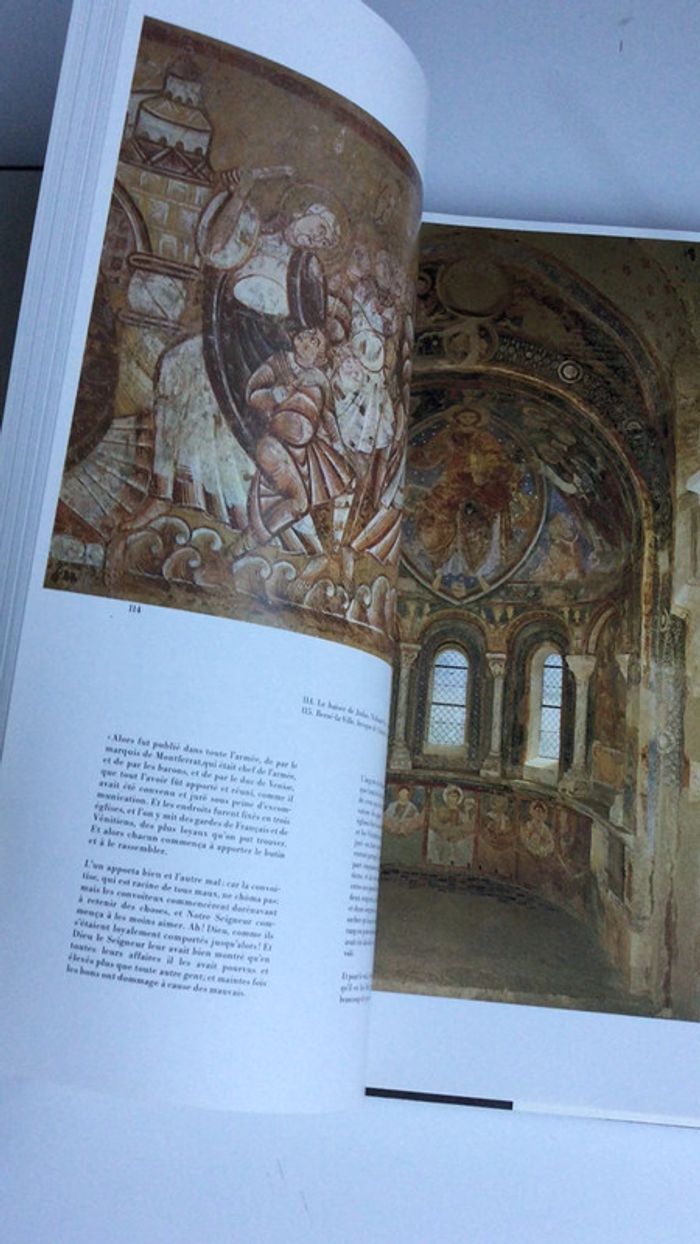 Livre l’Europe au moyen âge art roman art gothique exclusivité vintage qualité - photo numéro 7