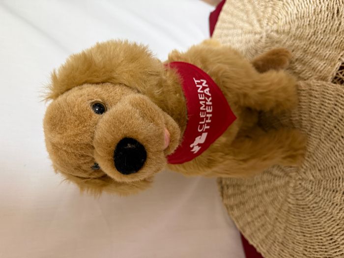 klement tekan golden retriever - chien en peluche - photo numéro 7