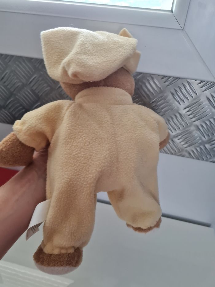 Joli ours - photo numéro 2