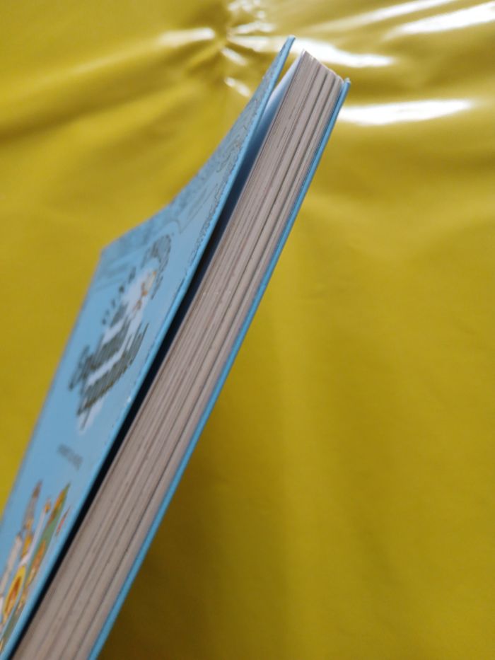 livre cinq enquetes des enfants capables - photo numéro 5