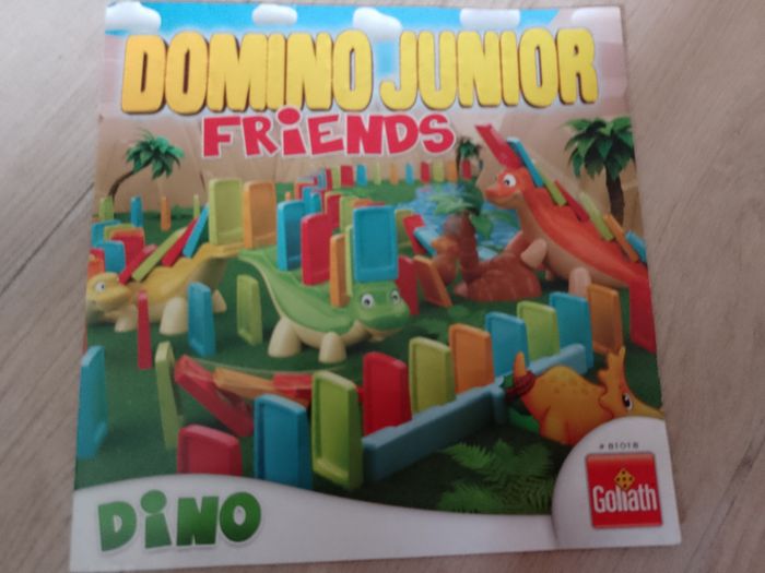 Domino junior friends - photo numéro 8
