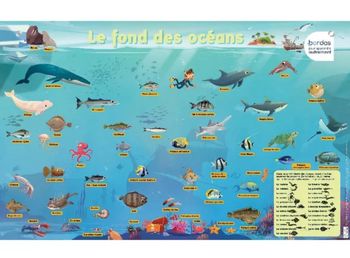 Affiche Poster Bordas " Le Fond des Océans " Phosphorescent