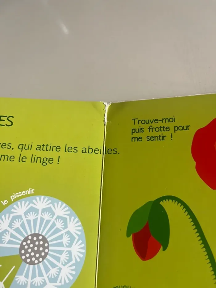 Livre les trésors de la nature couleur et odeurs - photo numéro 5