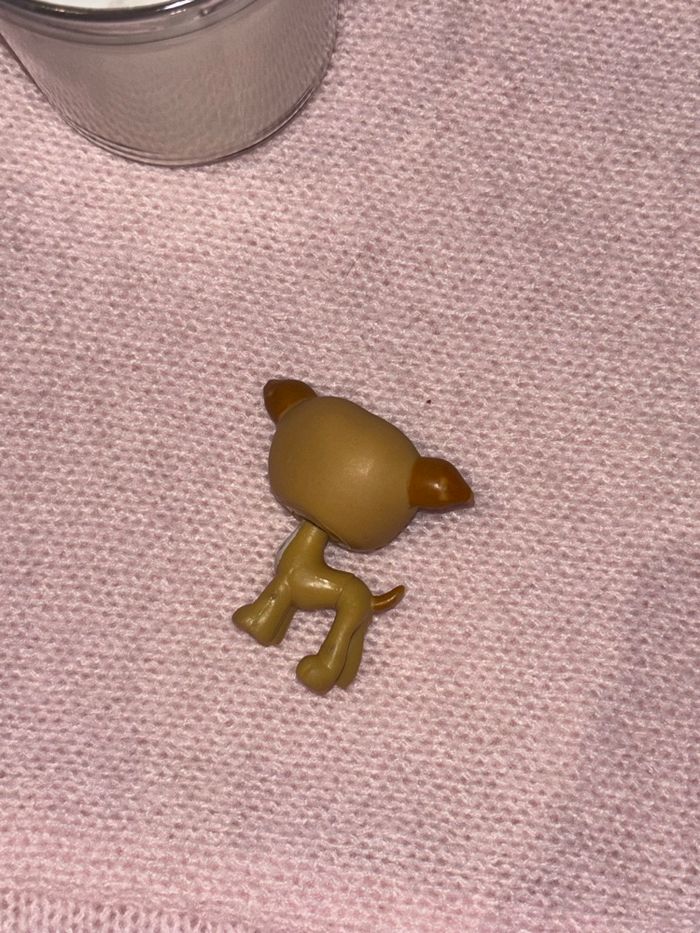 greyhound #498 - photo numéro 5