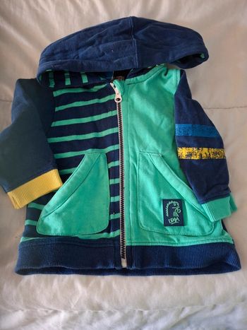 Gilet à capuche