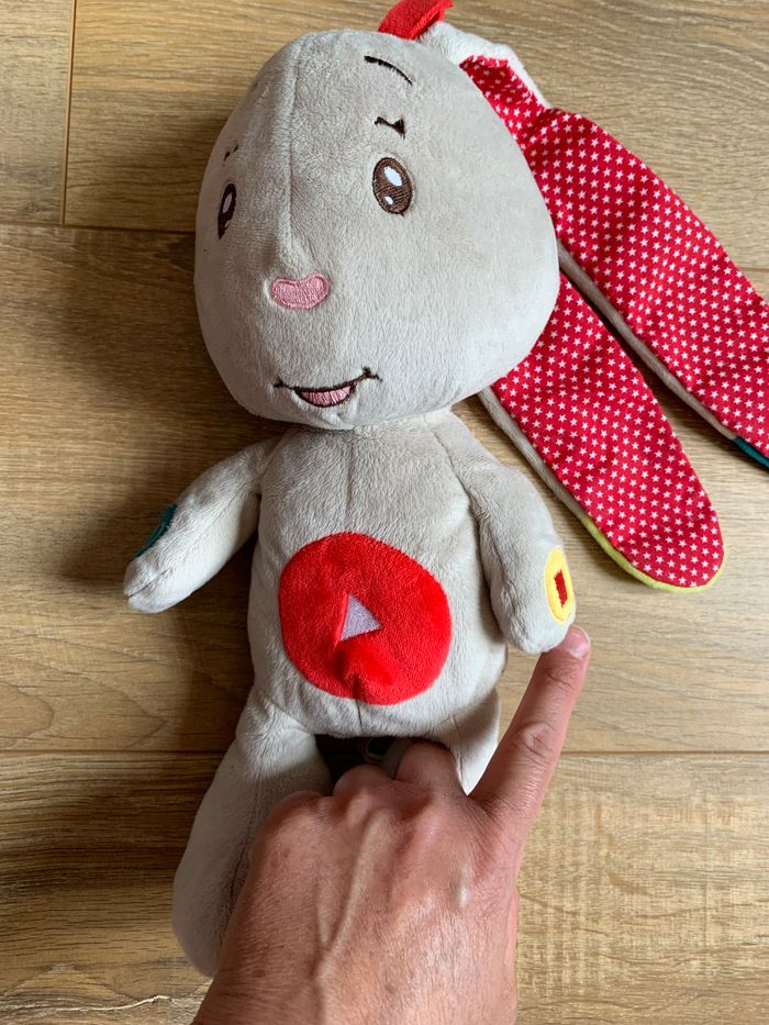Lapin comme neuf interactif - photo numéro 3