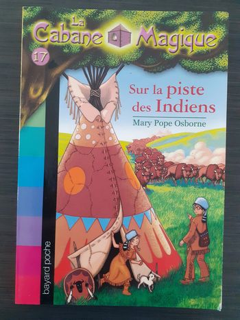 cabane magique tome 17