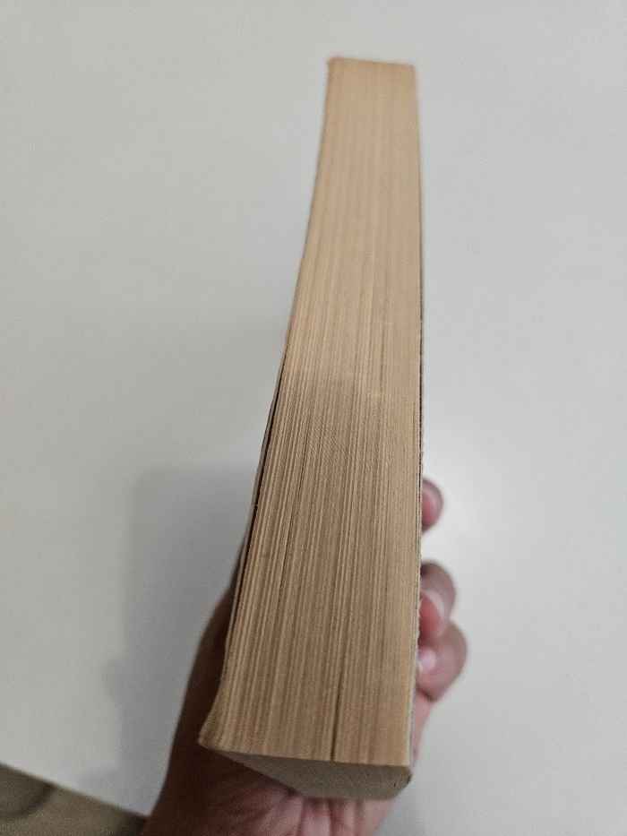 Peter Robinson: Tome 5 "Noir comme neige" - photo numéro 4