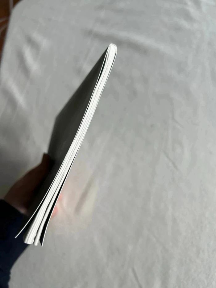 Carnet vert - photo numéro 4