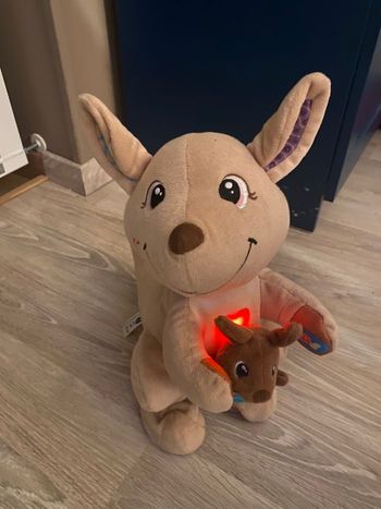 Maman kangourou et son bébé