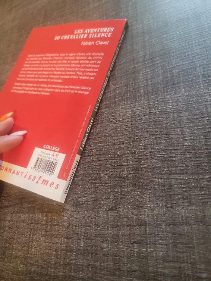 Livre les aventures du chevalier silence - photo numéro 3