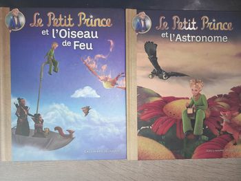 lot 2 livres Le petit prince (série sur France 3 ludo) tomes 1 et 6