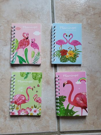 Lot 4 carnets flamant-rose
