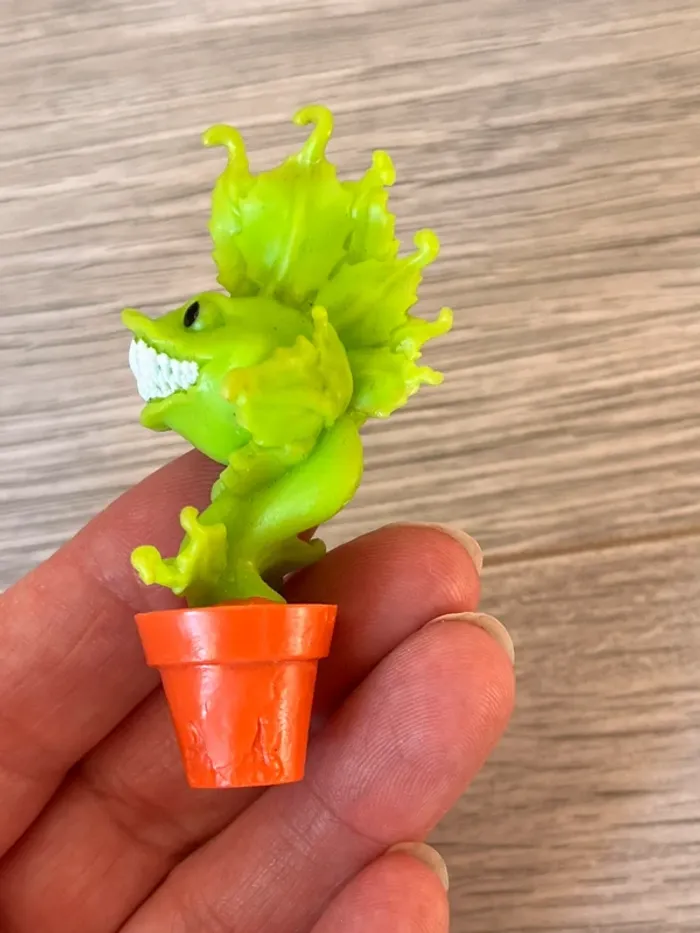 Plante monster hight - photo numéro 2