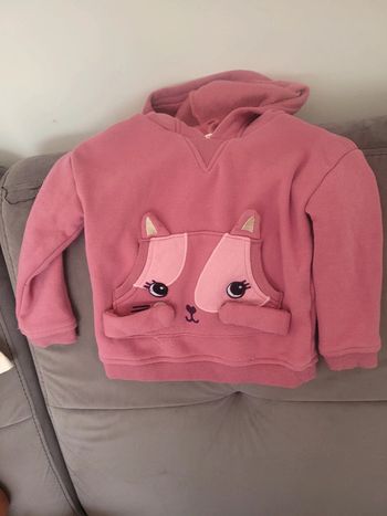 Sweat à capuche Du pareil au Meme taille 2 ans