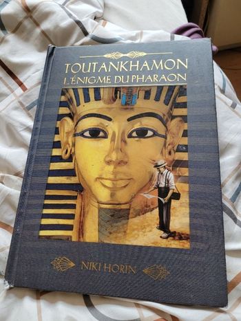 Toutankhamon l énigme du pharaon