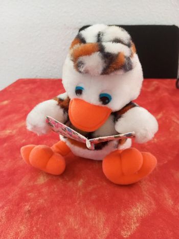 Canard scout livre fleurie ouvert