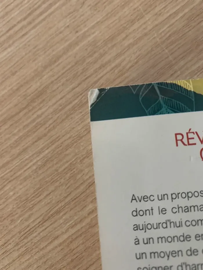 Livre arnaud riou réveillez le chaman qui est en vous - photo numéro 4