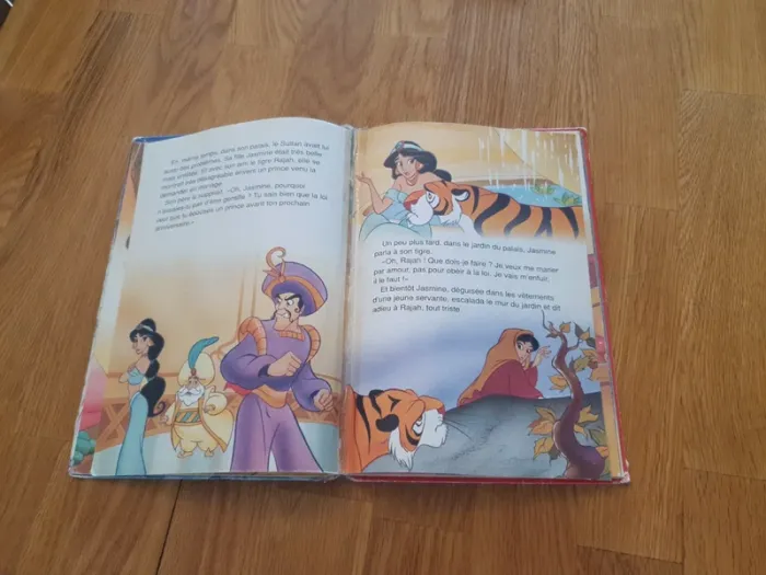 Lot livres disney - photo numéro 15