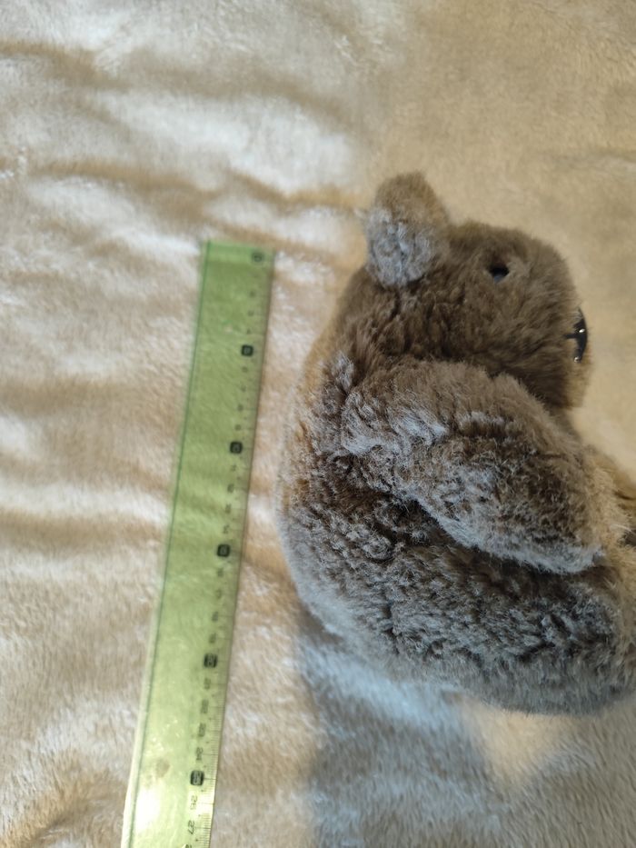 Peluche koala - photo numéro 2