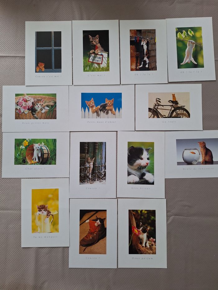 Lot de 66 cartes postales thème chats - photo numéro 3