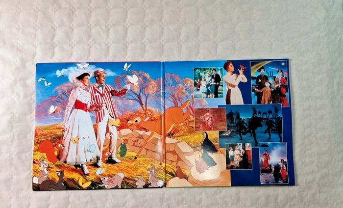 LaserDisc Walt Disney Mary Poppins Édition Spéciale 30ème Anniversaire - photo numéro 5