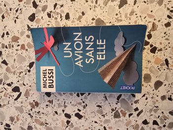 Un avion sans elle
